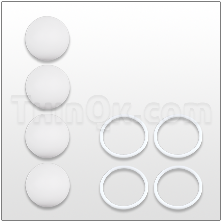 Valve Kit (T35003011)